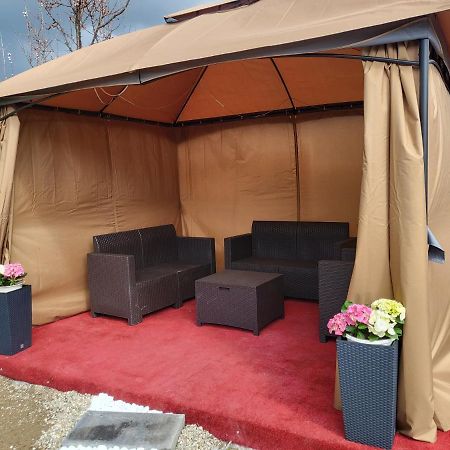 Villa Vila Ana Cu Terasa Gratar Si Jacuzzi Satu Mare Exterior foto