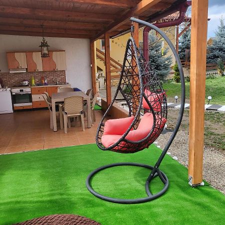 Villa Vila Ana Cu Terasa Gratar Si Jacuzzi Satu Mare Exterior foto