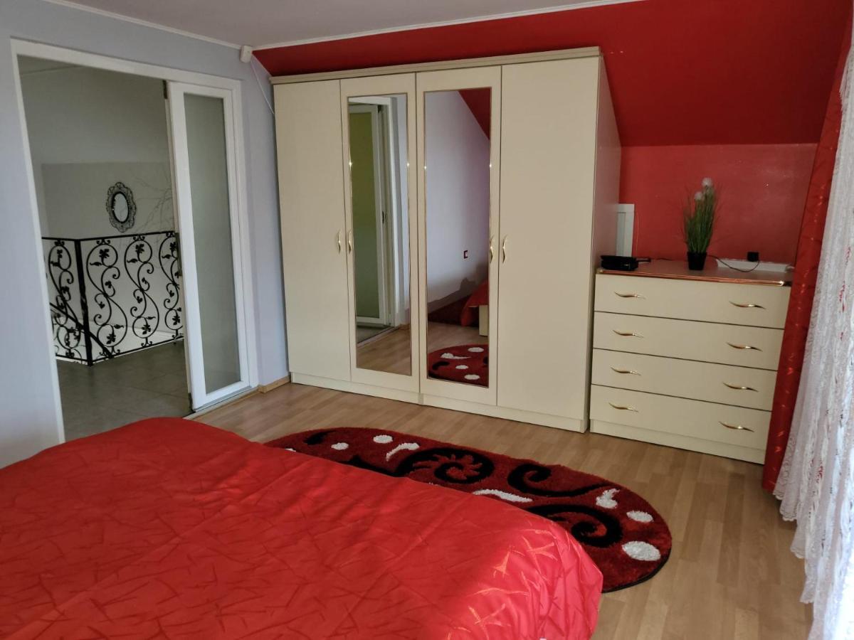 Villa Vila Ana Cu Terasa Gratar Si Jacuzzi Satu Mare Exterior foto