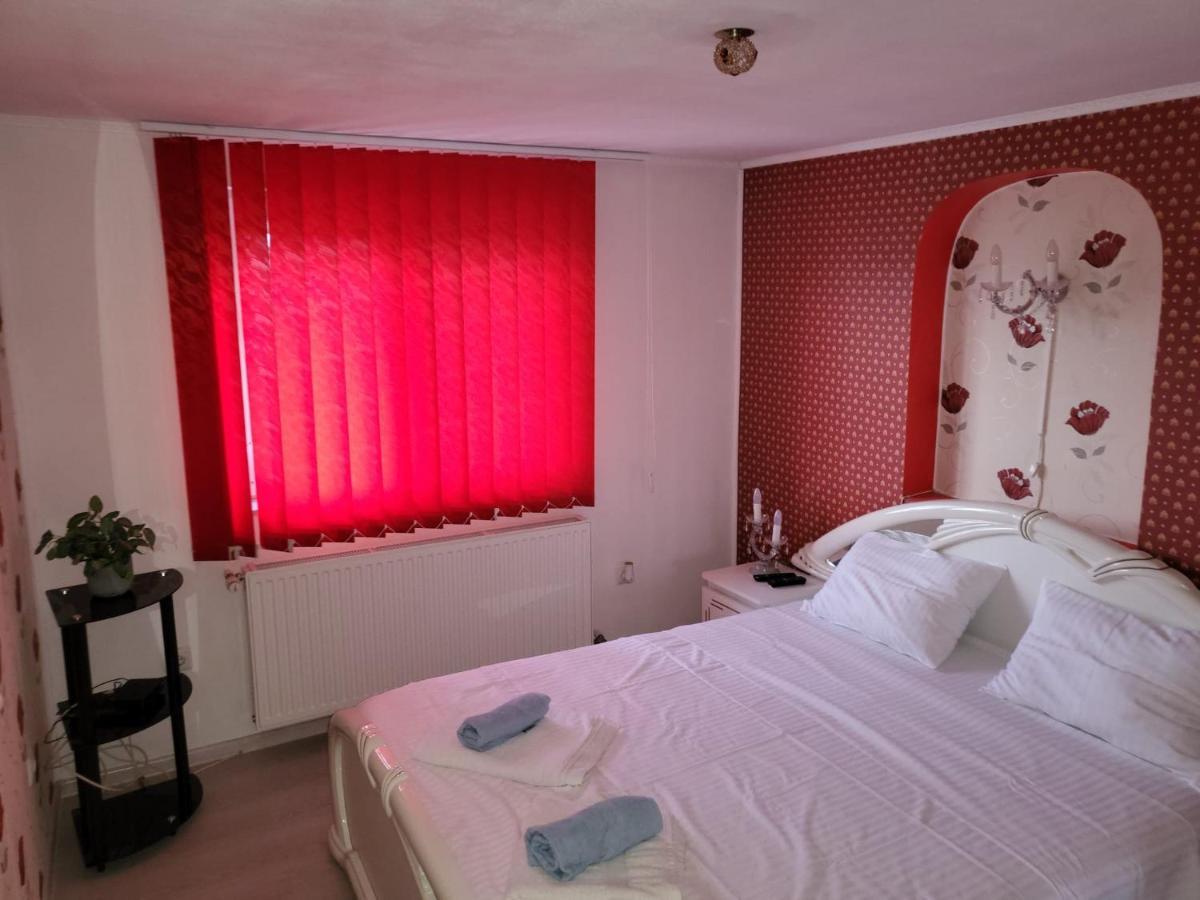 Villa Vila Ana Cu Terasa Gratar Si Jacuzzi Satu Mare Exterior foto