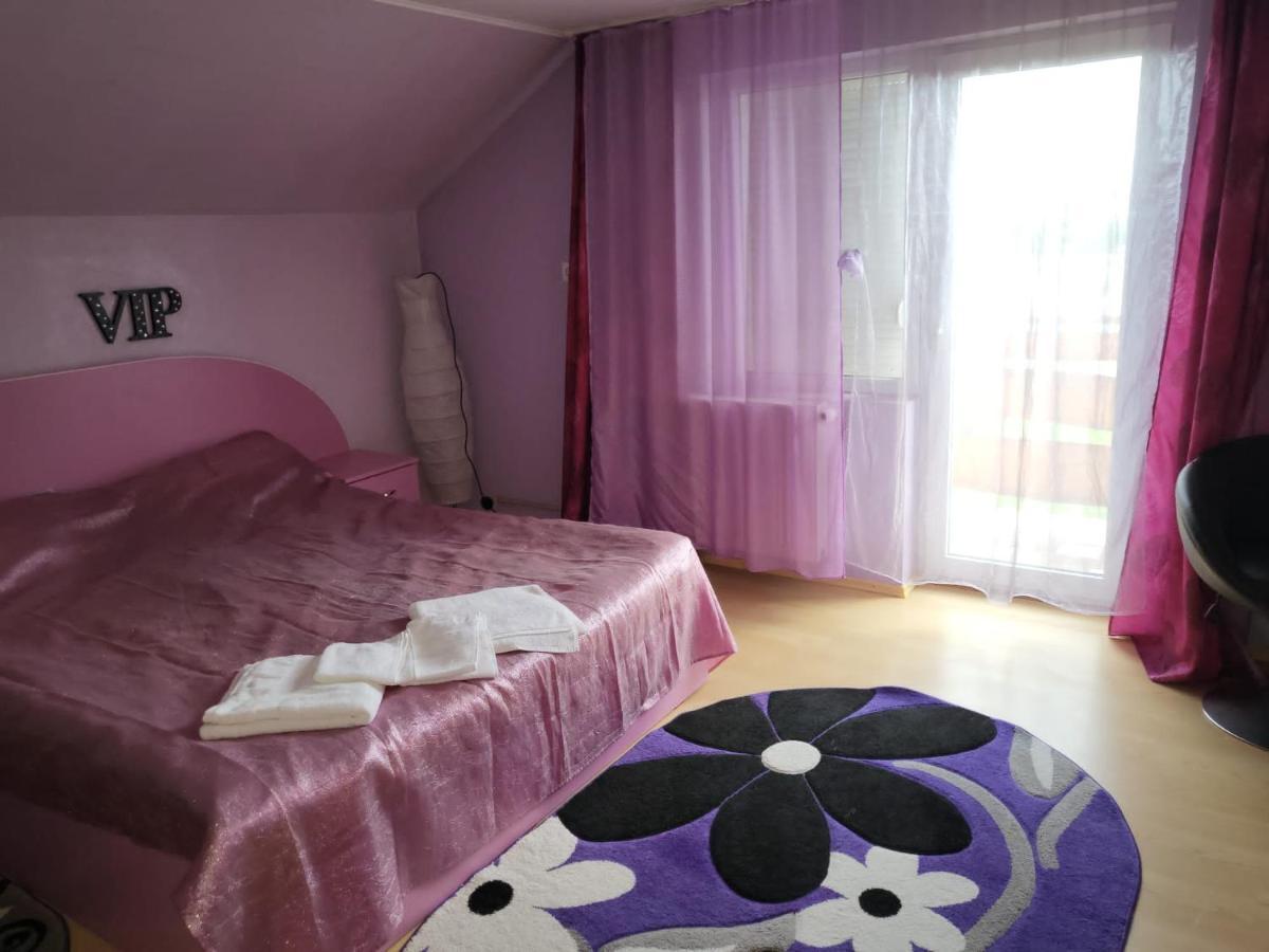 Villa Vila Ana Cu Terasa Gratar Si Jacuzzi Satu Mare Exterior foto