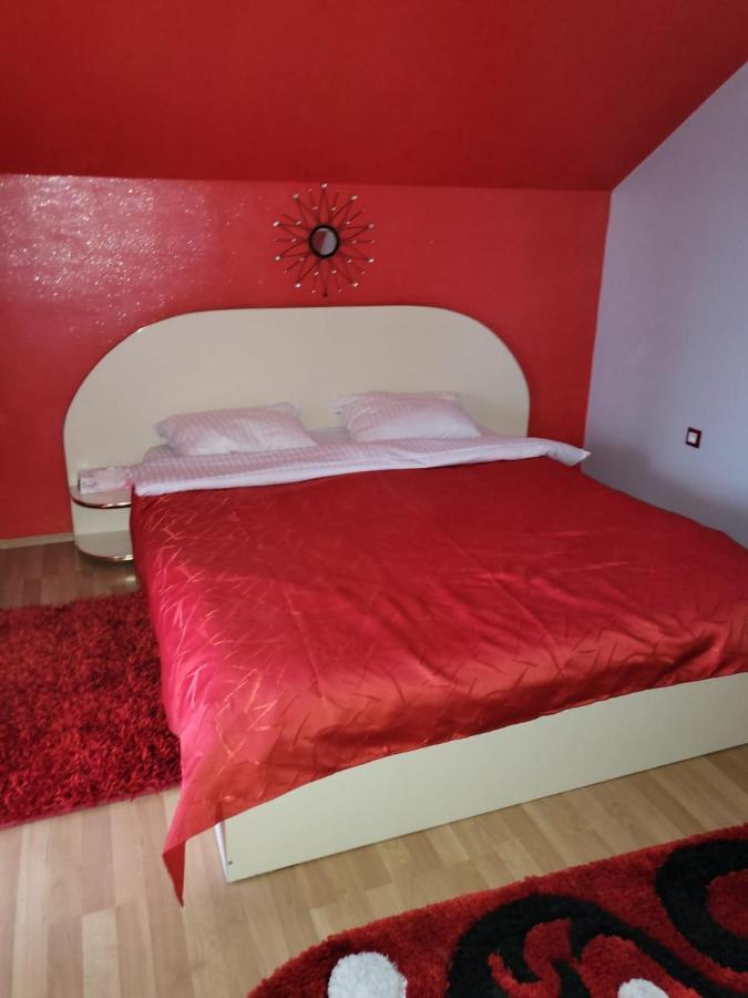 Villa Vila Ana Cu Terasa Gratar Si Jacuzzi Satu Mare Exterior foto