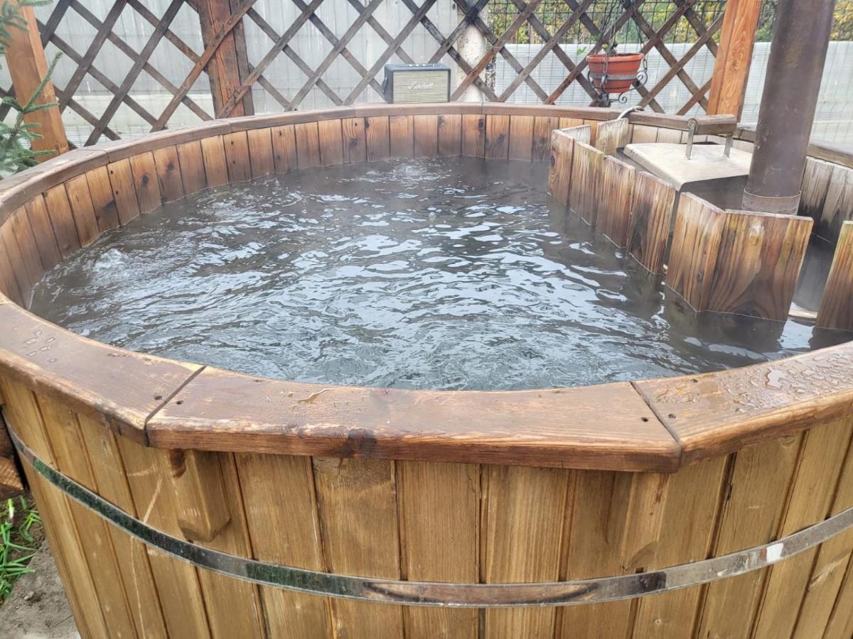 Villa Vila Ana Cu Terasa Gratar Si Jacuzzi Satu Mare Exterior foto
