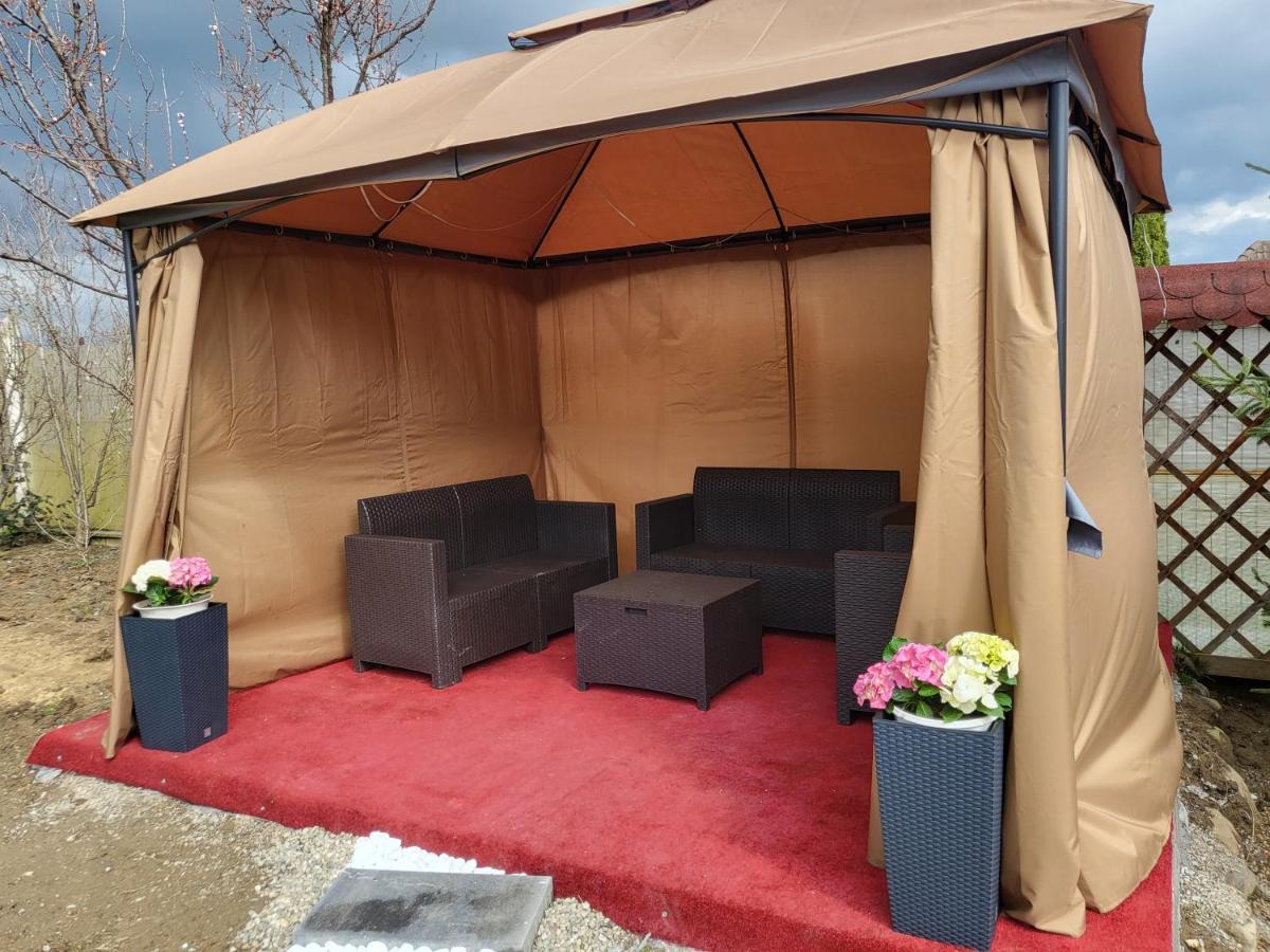 Villa Vila Ana Cu Terasa Gratar Si Jacuzzi Satu Mare Exterior foto